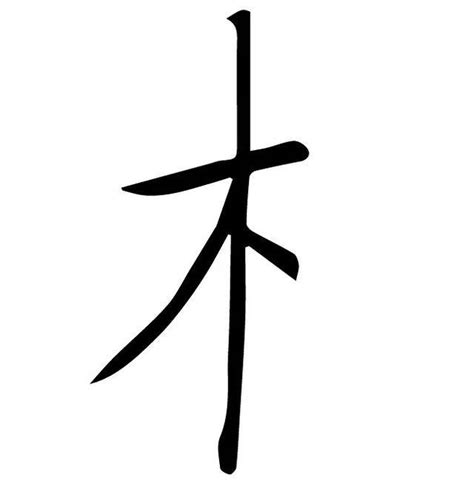 木字部首|木部首所有汉字